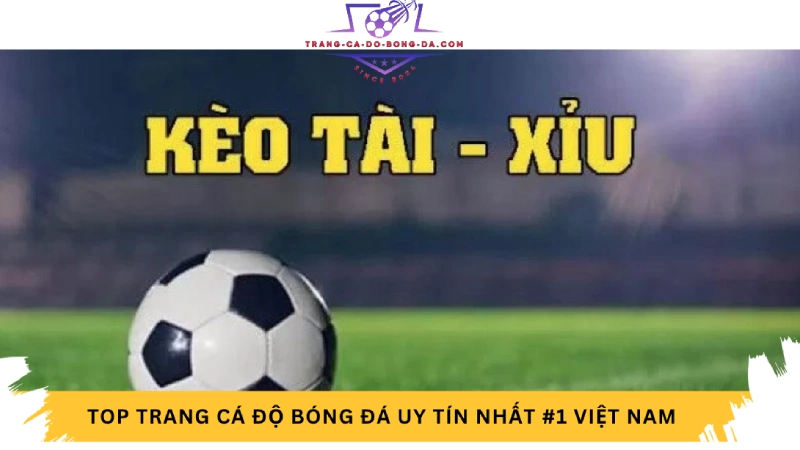 Kèo tài xỉu là gì? Cách Đầu Tư Thông Minh Trong Bóng Đá